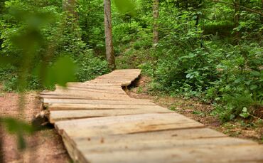 Feenspuren Römerwald