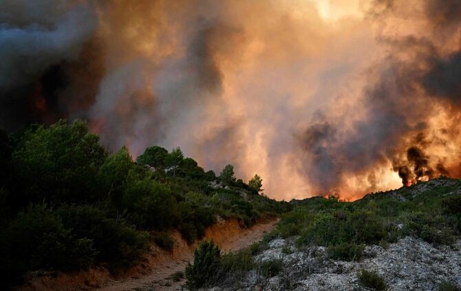 Waldbrände in Frankreich
