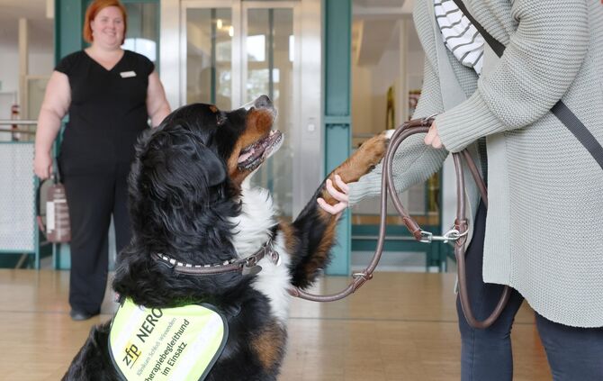ZfP Therapiehund im Einsatz