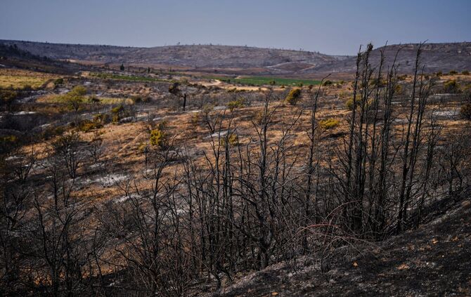 Waldbrände in Frankreich