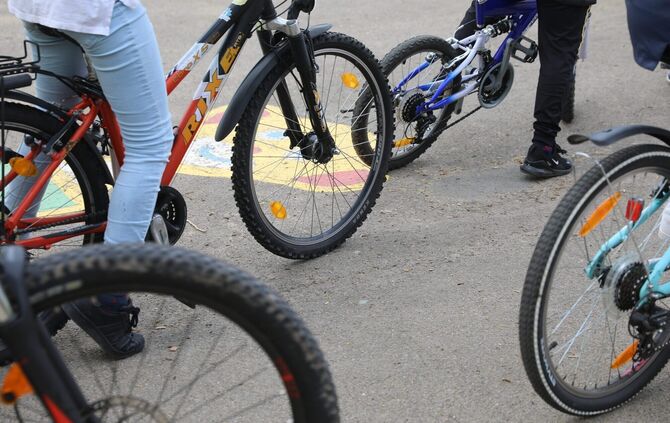 Radtraining