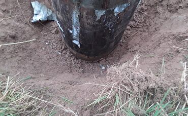 Holzmast wird von Syna kontrolliert - 1