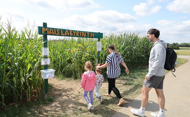 Maislabyrinth
