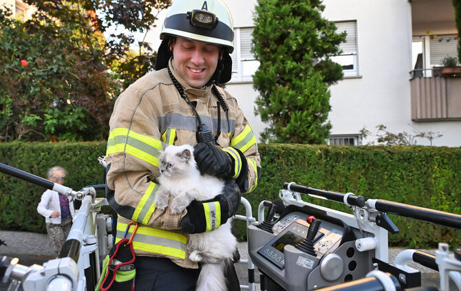 Feuerwehr Fellbach rettet Katze aus Dachrinne
