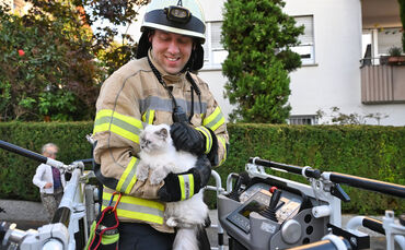 Feuerwehr Fellbach rettet Katze aus Dachrinne