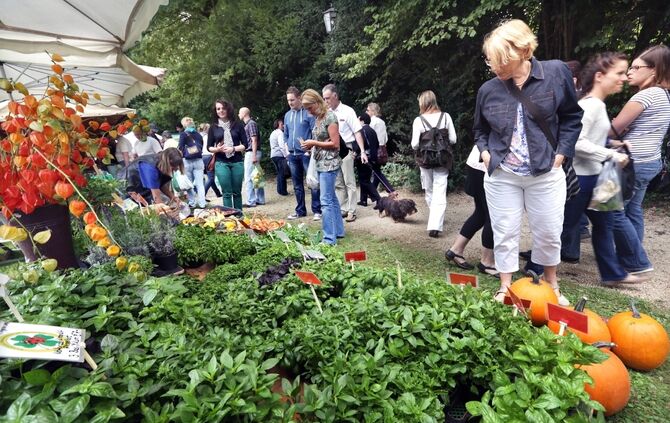Naturparkmarkt September 2013