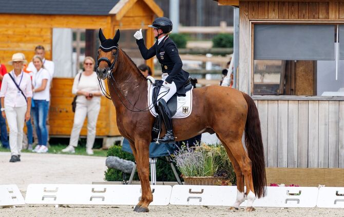 FEI Dressur Europameisterschaft 2025