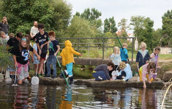 grünes Klassenzimmer