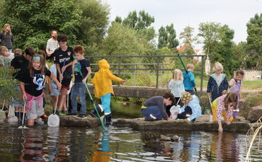 grünes Klassenzimmer