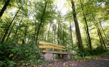 KOL 1011K261 Backnang Erleben  e.t. 18.11.2010
