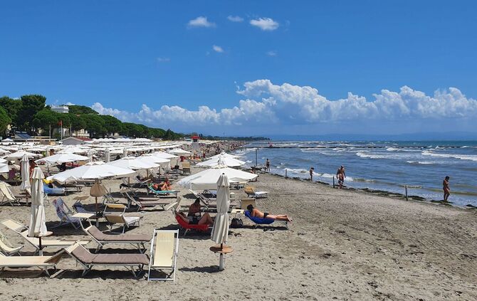 Grado