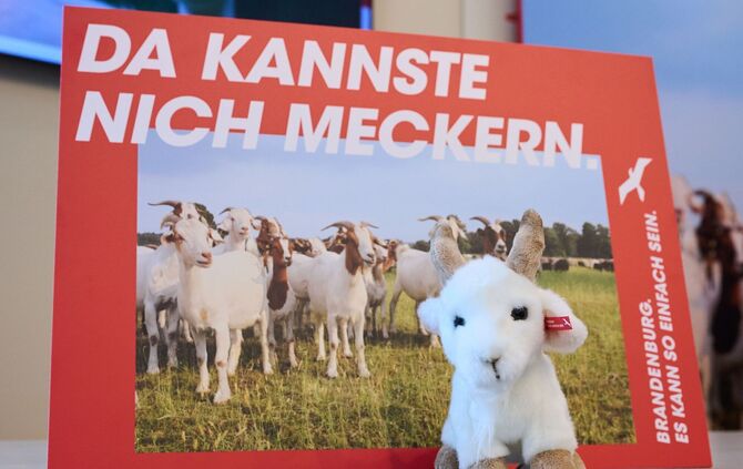 Frühere Kampagne für Brandenburg «Da kannste nich meckern»