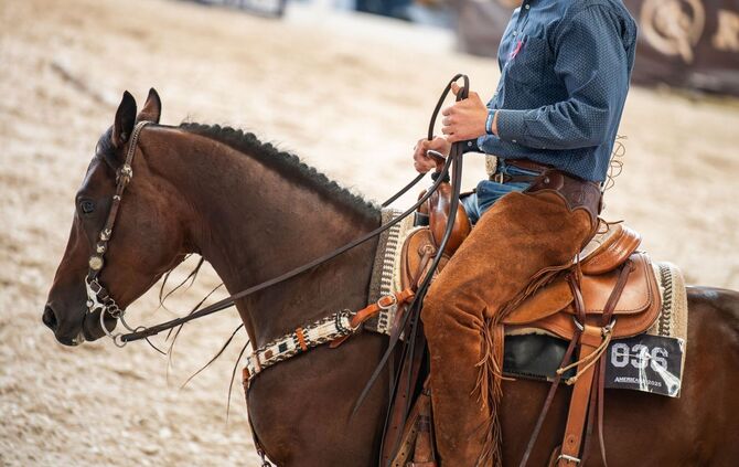 Die Western-Messe Americana - Traum vom Wilden Westen am Bodensee