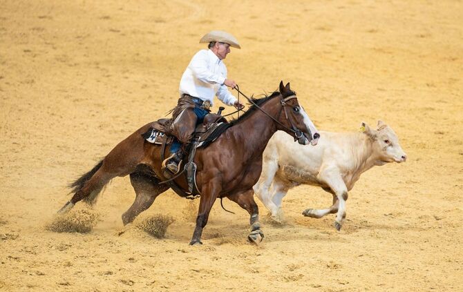 Die Western-Messe Americana - Traum vom Wilden Westen am Bodensee