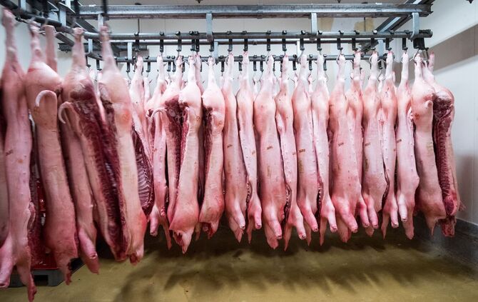 Schweinehälften