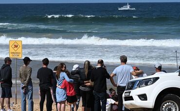 Tödlicher Hai-Angriff in Sydney