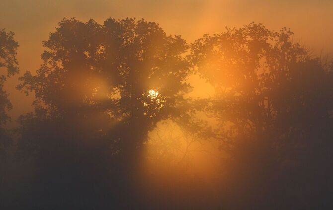 Morgens in Brandenburg
