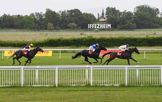 Galopp