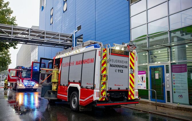 Brand in Kakaofabrik