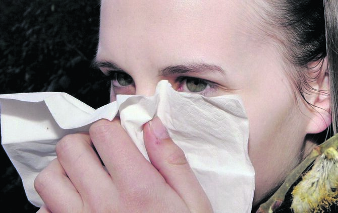 Allergie Heuschnupfen Schnupfen - 1