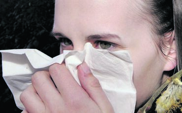 Allergie Heuschnupfen Schnupfen - 1