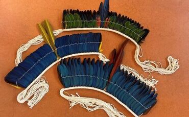 hza-s-papageienfedern-in-postpaket-zollamt-winnenden-beschlagnahmt-artgesch-tzten-kopfschmuck