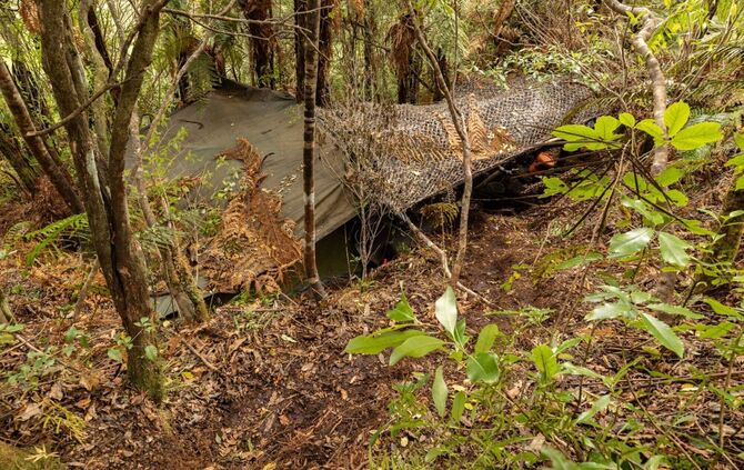 Versteck des Kindesentführers Tom Phillips in Neuseelands Wildnis