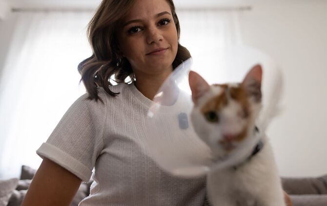 Katze Maja