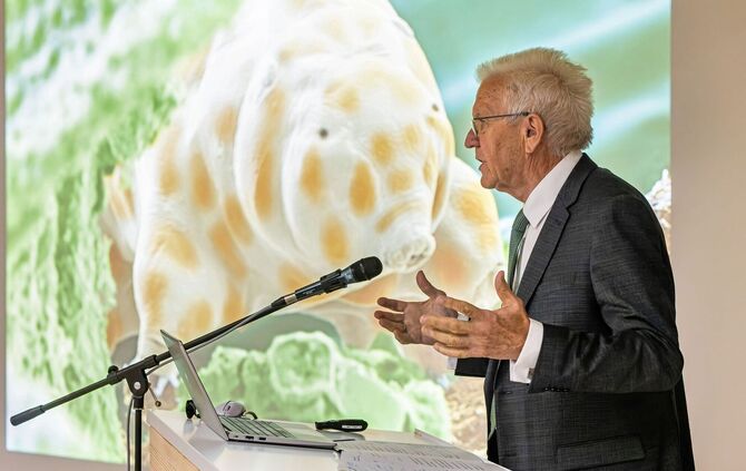 Vorstellung einer neuen Bärtierchen-Art