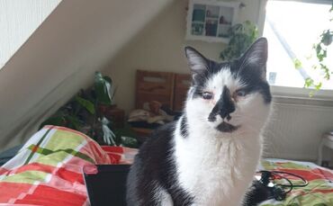 photo_2025-09-07_21-47-51