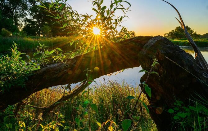 Sonnenaufgang am Fluss Oder