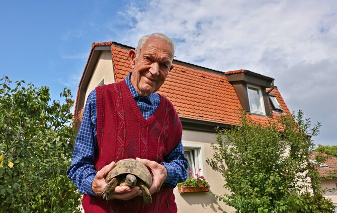Schildkröten