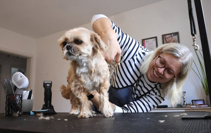 Hundesalon