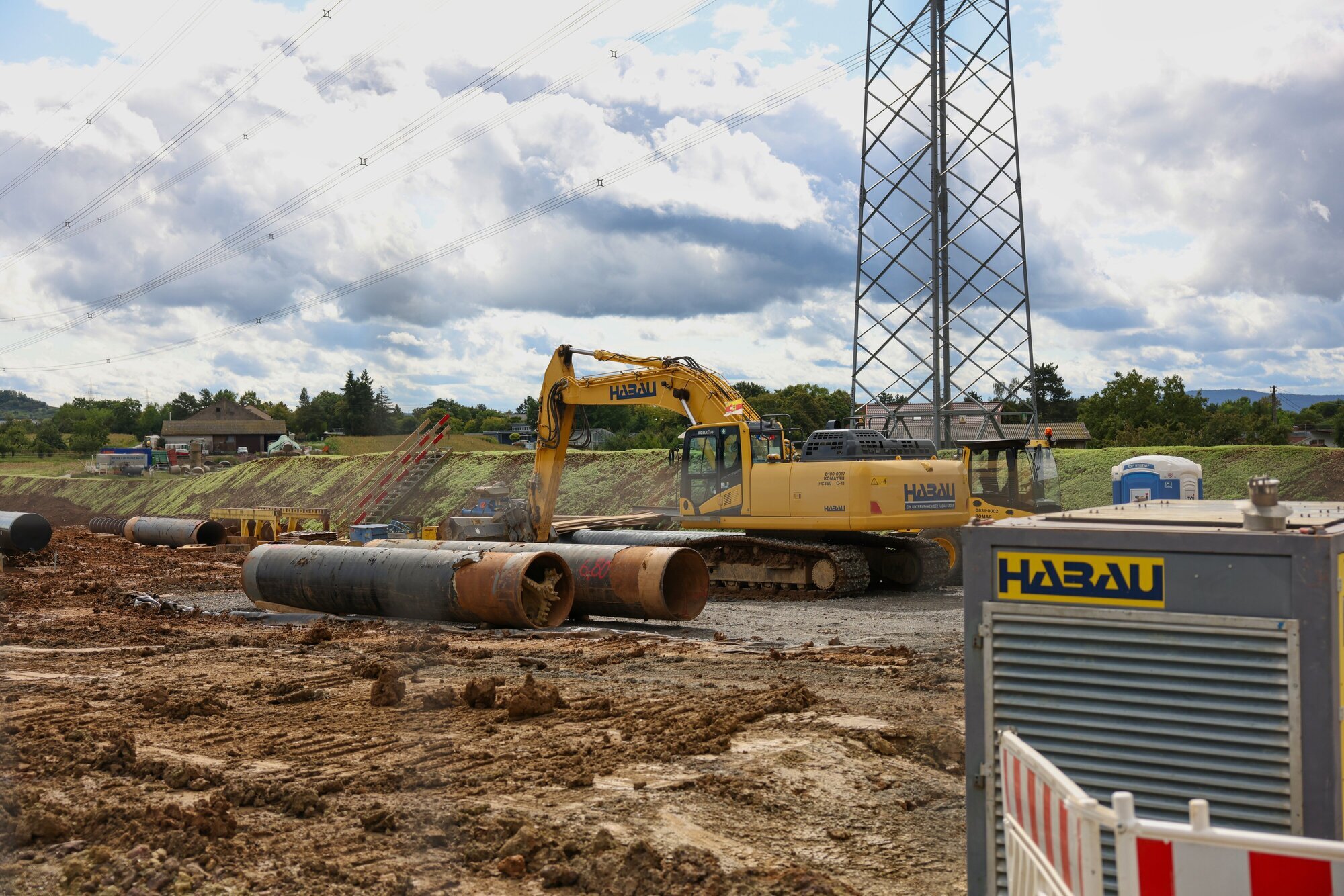 Untamed desire on film