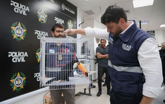 Großer Schlag gegen den illegalen Tierhandel in Brasilien