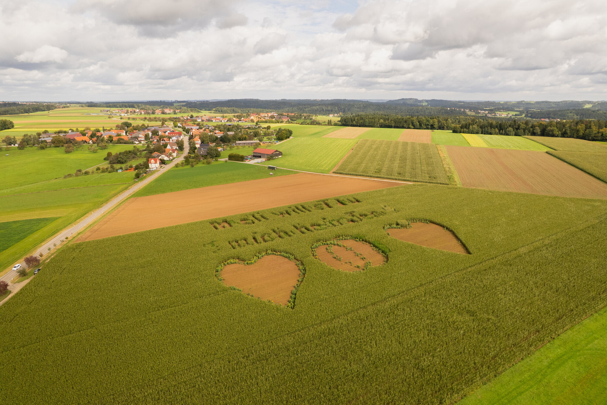 This marriage proposal is amazing: pure romance in a cornfield in Welzheim