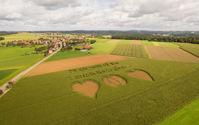 dji_0073