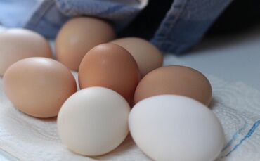 Ei Eier Hühnerei Hühnereier