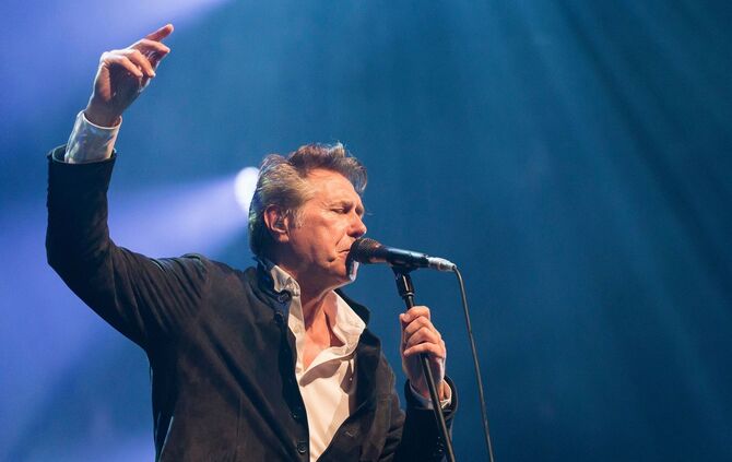 Popikone Bryan Ferry