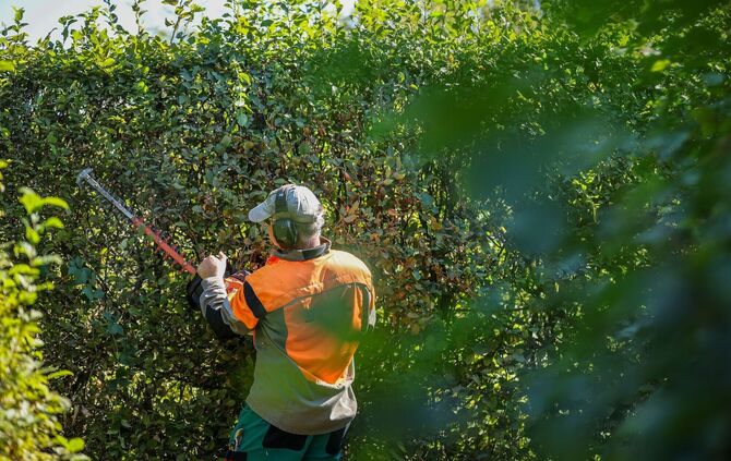 Überweisungen, Einreise, Zeit – was sich im Oktober ändert
