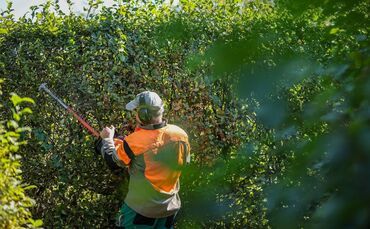 Überweisungen, Einreise, Zeit – was sich im Oktober ändert