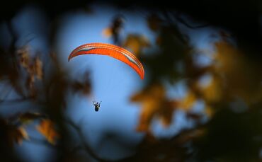 Gleitschirm hinter herbstlichen Bäumen