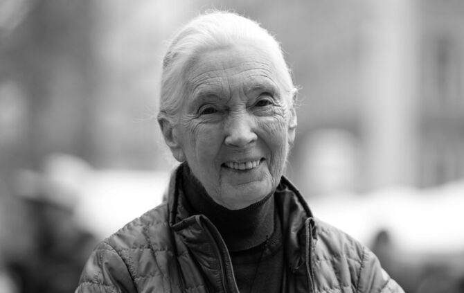 Jane Goodall