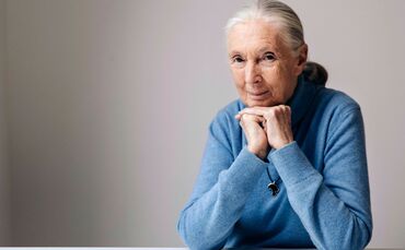 Berühmte Primatenforscherin Goodall gestorben
