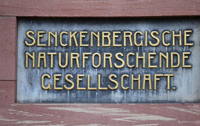 Senckenberg Gesellschaft für Naturforschung