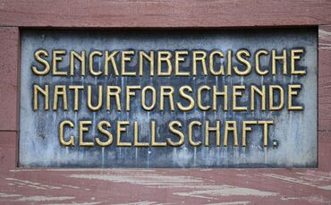 Senckenberg Gesellschaft für Naturforschung