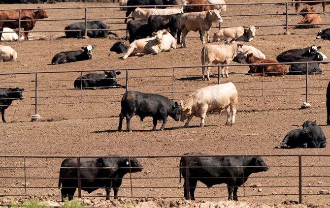 Ernährungsweise trägt weiterhin stark zur Klimakrise bei