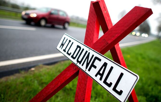 Wildunfall