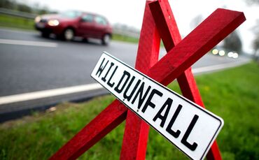 Wildunfall