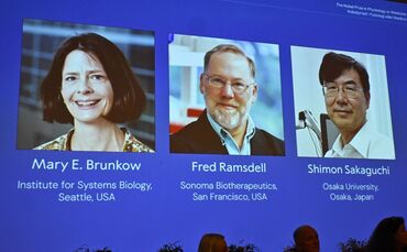 Nobelpreise 2025 - Medizin